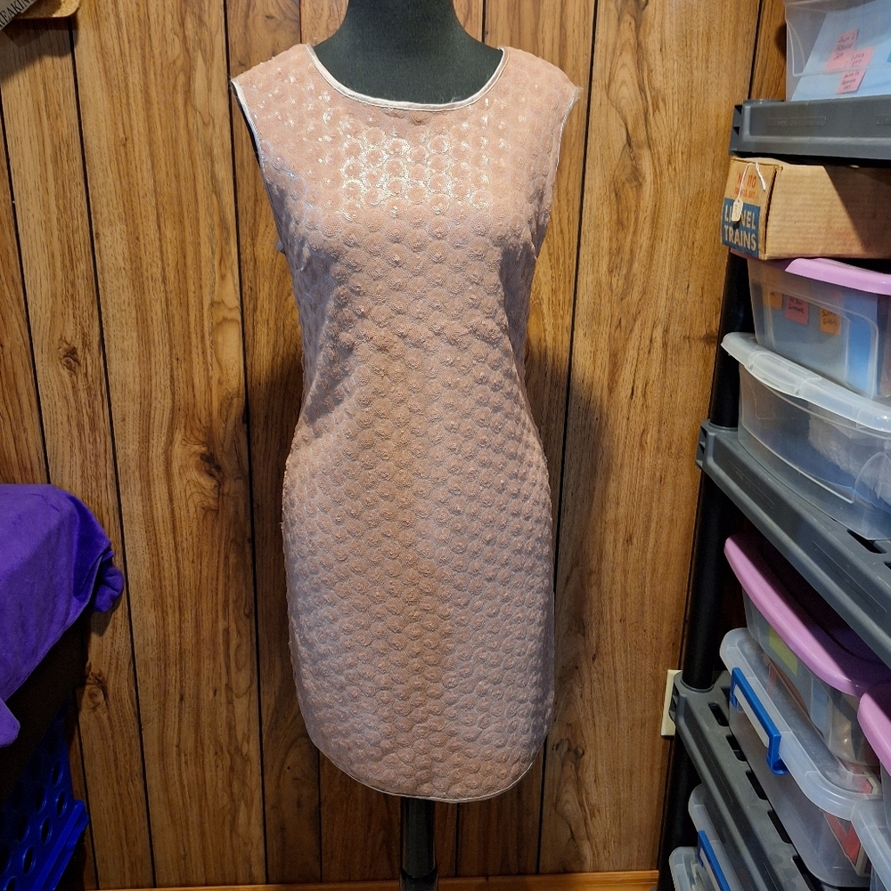Love 21 Sleeveless Taupe/Tan Sequined Sheath Dress